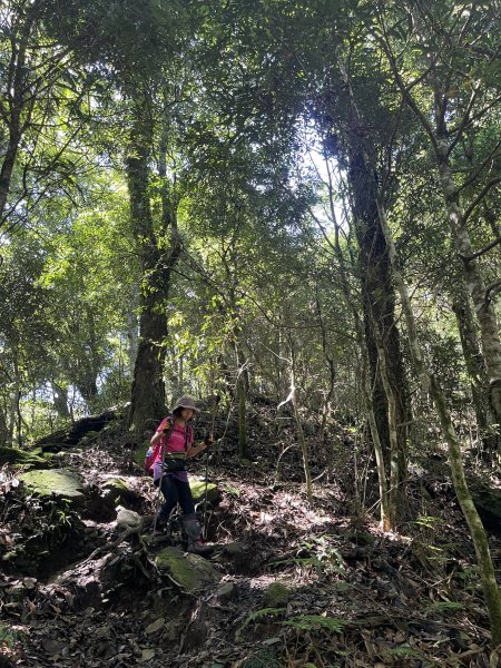 鵝公髻山-第一登山口來回-202408112573496