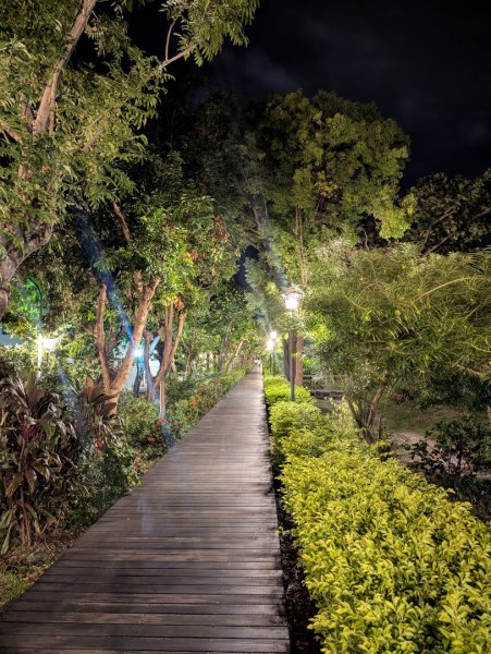 台東鯉魚山2924385