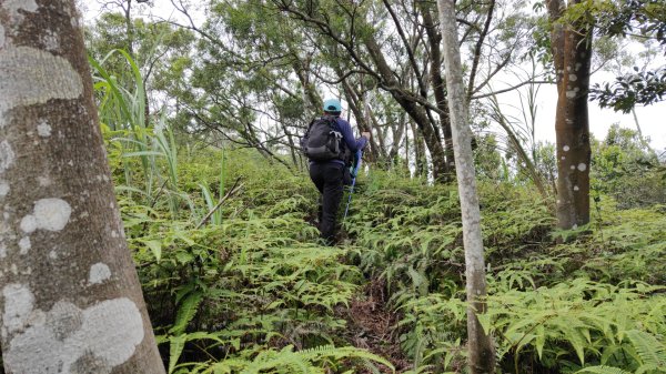 飛沙縱走33連峰2025年4月13日2760320