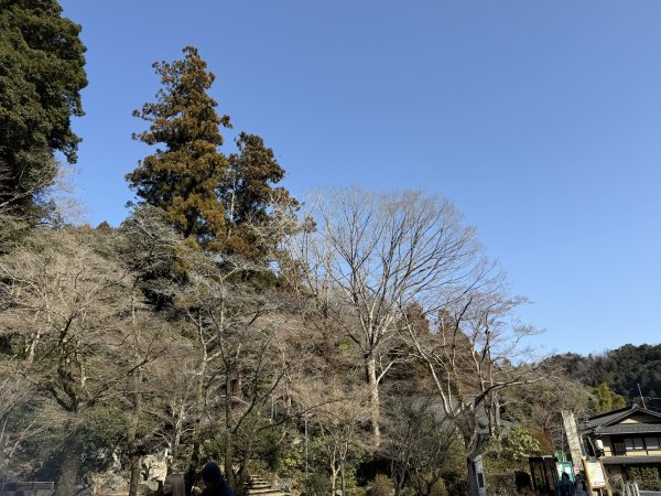 65日本高尾山3085277