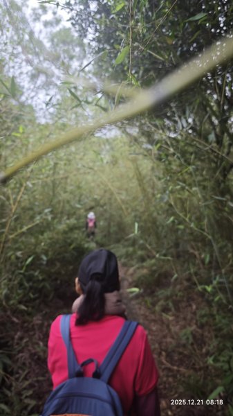 2025-1221 情人湖-石山-老鷹岩-大武崙砲台-外木山國旗嶺-濱海步道-海興步道-情人湖2966838