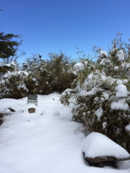 【公告】玉山地區降下三月瑞雪，將持續進行雪地管制