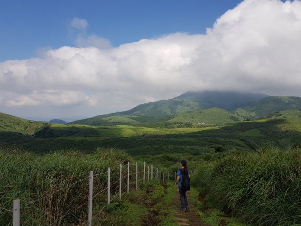 陽明山東西大縱走997303