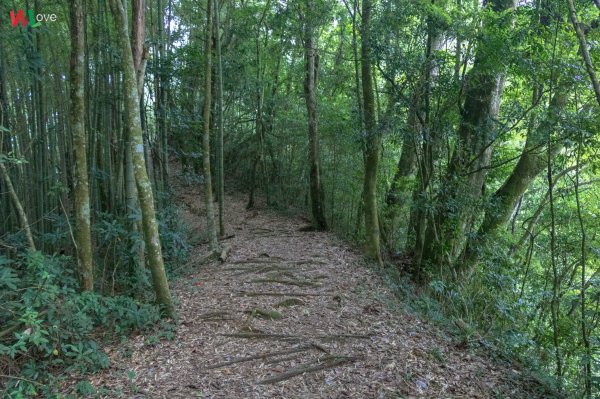 WL 愛旅行【石壁山】499653