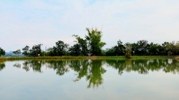 田寮月世界2954572