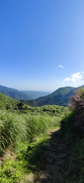 20230527 風櫃嘴-魚路古道-金山2252677