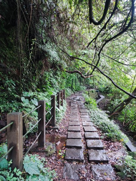 絹絲瀑布步道 - 走遍陽明山尋寶任務2268818