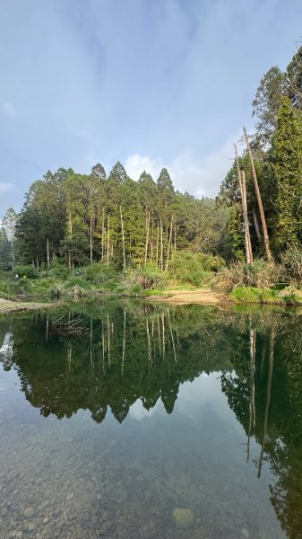 水漾森林+瞑月神木2768808