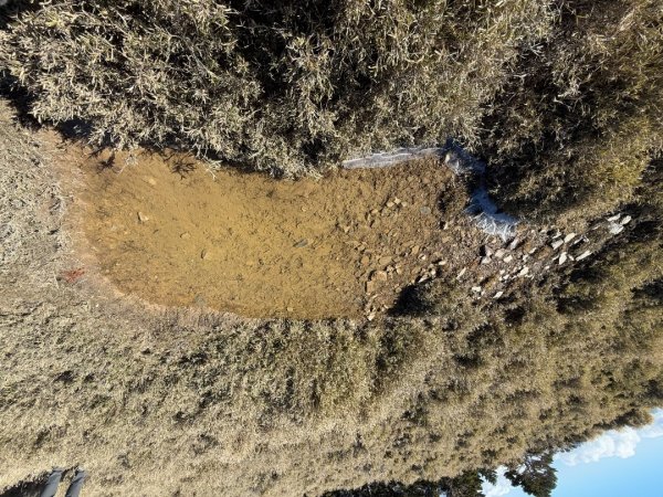 20250104-05 向陽縱走魔保來溪頭山出關山嶺山2683518