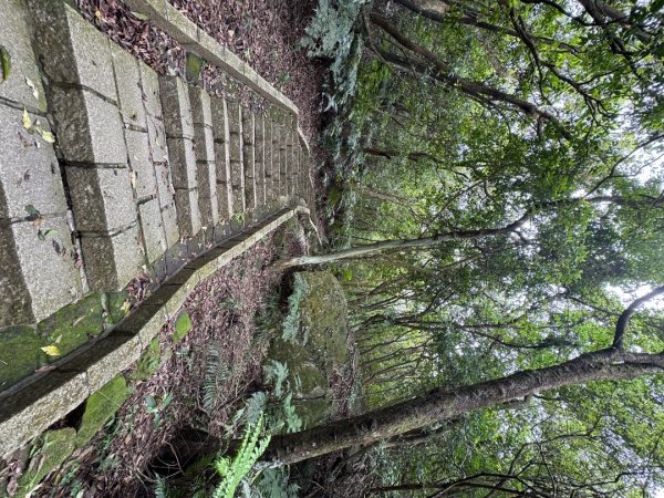 2025/04/13 小百岳第008「大崙頭山」2760255