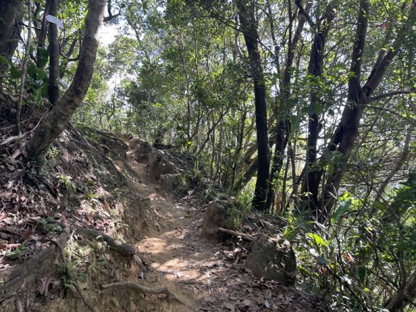 【二格山系】皇帝殿稜線2914125