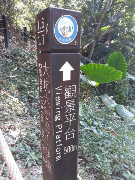 台中大坑步道7上6下20181027444587