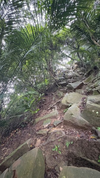 大雨後🙄2845393