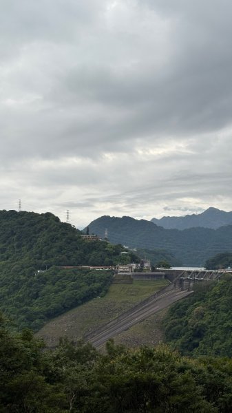 溪石2828036