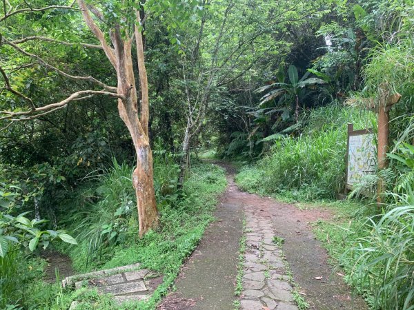 大崎棟古道、騎龍古道2772303