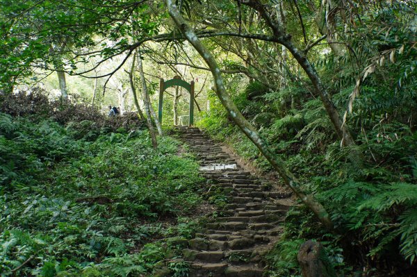 桃園 大溪 新溪洲山、溪洲山、林嵩壽山、內湳溝山、頭寮山3006205