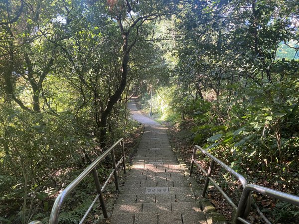 【四獸山 Short】虎豹象先行！獅山封閉中，等新步道開箱再相見2888865