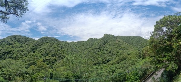 瑞芳區長青早起會觀景+碧峰岩步道2854009