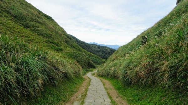 大溪,灣坑頭山,福隆790155