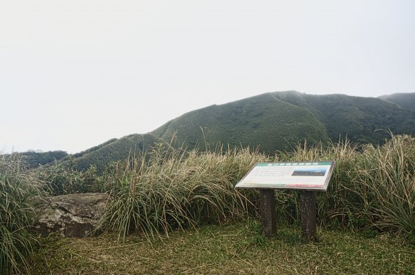 灣坑頭山 桃源谷步道 連走2034825