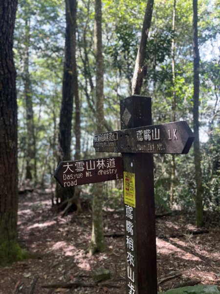 鳶嘴山 2025 09/212892205