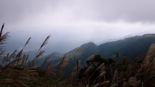 五分山步道738112