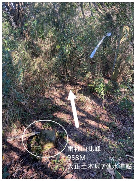 逐鹿古道、雨社山(南投、魚池)2667434