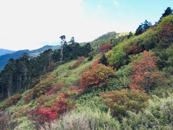 雪山東峰主峰714138