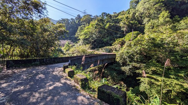 月扇湖山大岩壁,楓紅,落羽松2375333