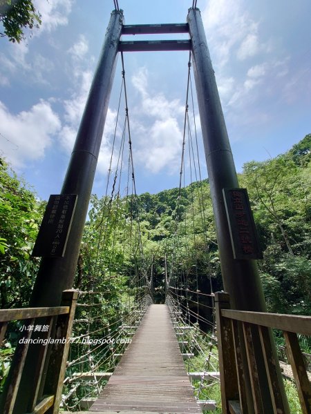 【嘉義】獨立山步道~ 火車、鐵道、山洞、吊橋一次滿足1811575