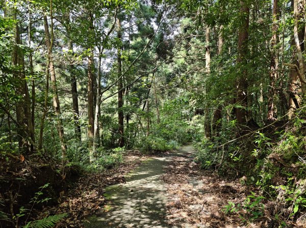 2025_0601 赫威山2802298