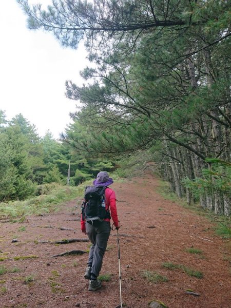 平多o走（平岩山，多加屯山，勝光山）1849634