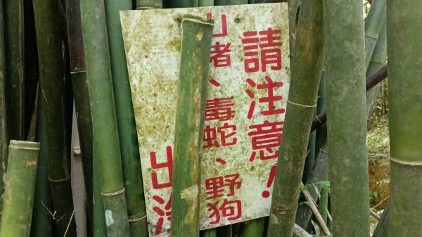 基隆市觀音湖山-東勢坑山-東勢大崙-消墾嶺古道-暖東峽谷步道O型3100569