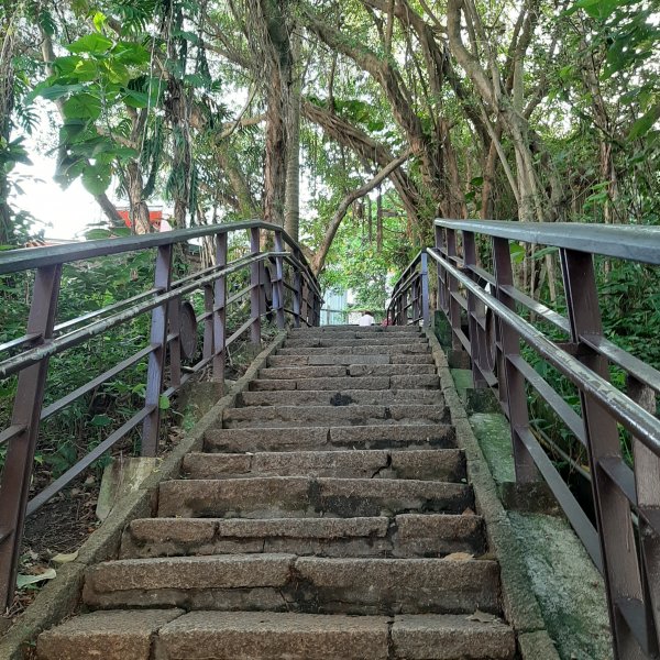 台北－臺灣百大必訪步道 | 象山、金面山1083425