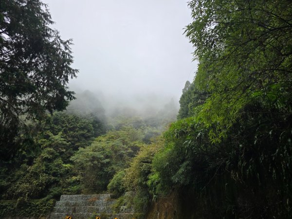 鳶嘴稍來山之楓紅／雲海2974085