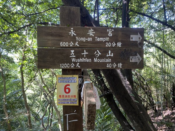 2025微笑山線大縱走尋寶集章任務-Ep.03【鳶山山系】鳶山彩壁段2893678