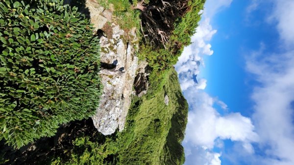 合歡山主峰，合歡山東峰，石門山，高雄龜山步道，見城之道，鳳山縣舊城1775723