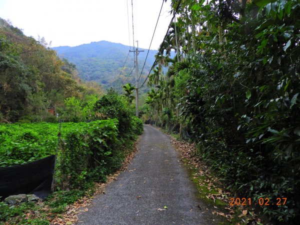 南投 埔里 舊武界越山、板仔寮山1286570