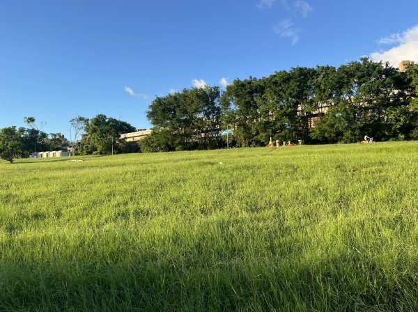 [2025臺北健走趣-02/49] 2025_0630_古亭河濱公園2825348