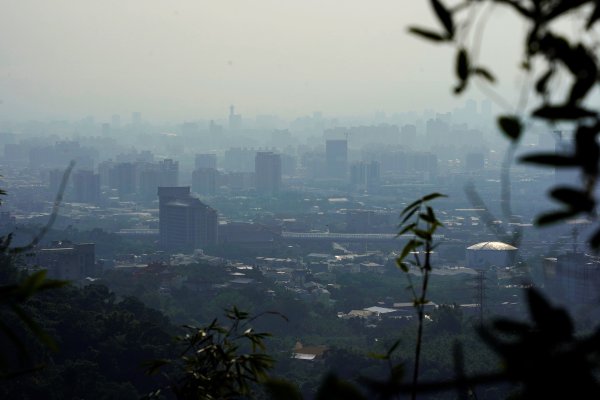 聚興山 新田登山步道2670668