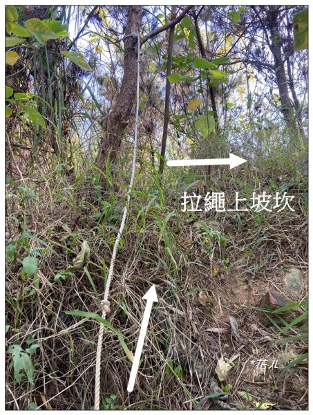 將軍山 (苗栗市)2691225