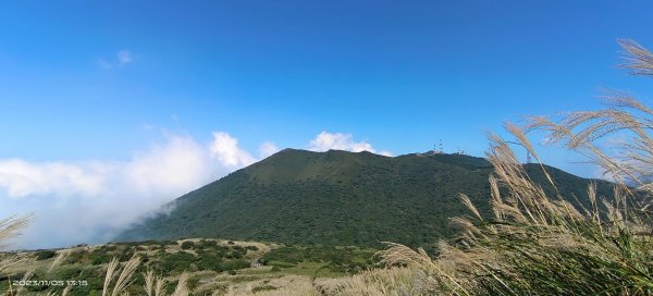 大屯山&小觀音山西峰差強人意的雲海/夕陽晚霞/芒花2337336