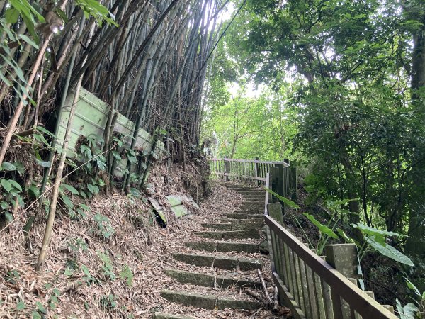 南埔村觀音步道+挑水壢古道2550272