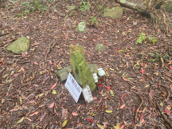 20230409那羅山、煤源山、大混山、道下山O型2141999