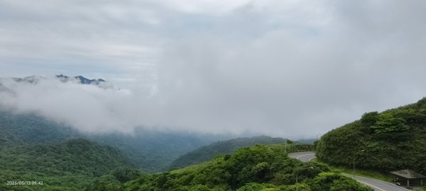 雲山水花鳥蝶-天龍國阿伯的日常 #台灣野百合 #石牆蝶 #遷粉蝶(淡黃蝶） #台灣粉蝶3054085