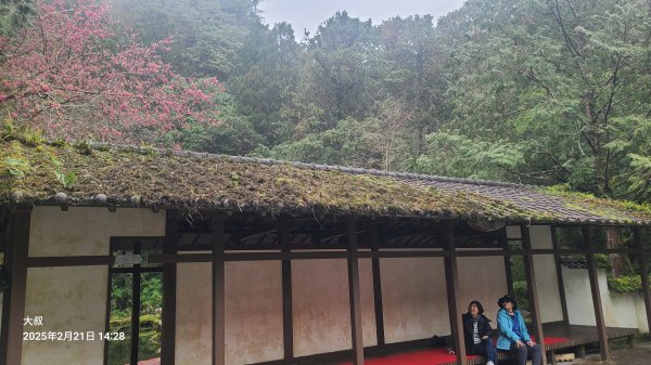 2025-0221 明池步道2718248