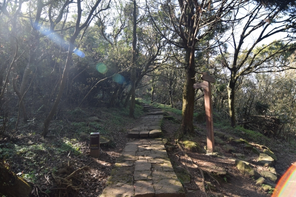 大屯火山群十連峰 陽明山大縱走 40663