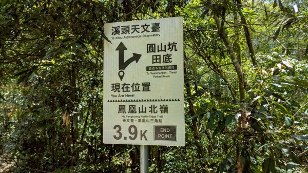 鳳凰山步道（溪頭）2838218