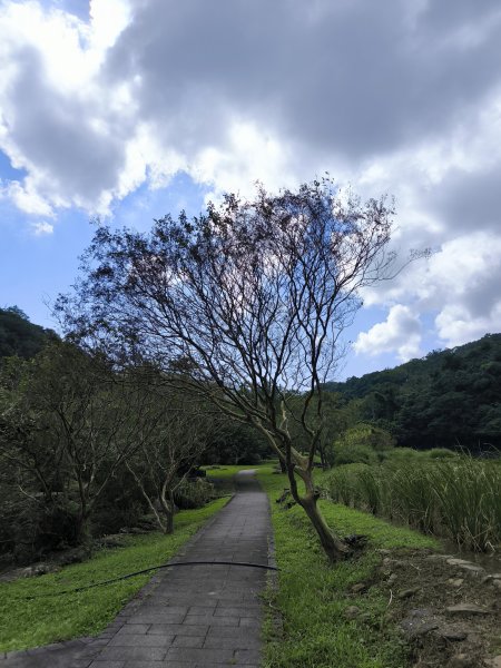 20251108草嶺古道2936122