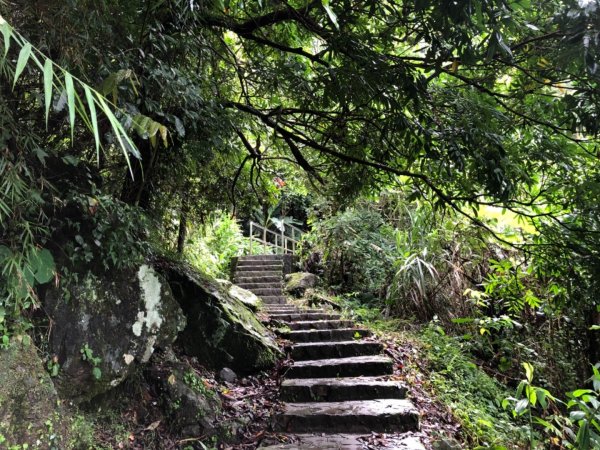 嘉義連峰獨立山大巃頂紅楠坑觀音石阿拔泉633143